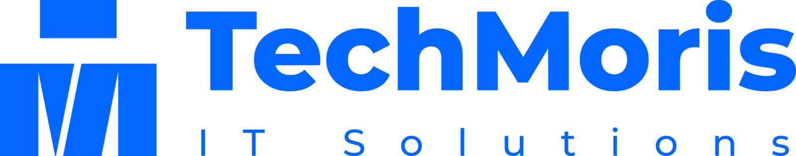 TechMoris IT Solutions